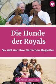 Die Hunde Der Royals So Suss Sind Ihre Vierbeinigen Freunde Hunde Labradoodle Hund Retriever Hund