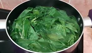 Resep ayam kentucky kriuk anti gagal, cocok untuk usaha kuliner di kampung anda ; Resep Daun Singkong Santan Yang Sederhana Dan Nikmat
