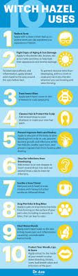 How to use witch hazel on your skin. 8 Best Benefits Of Witch Hazel Ideas Witch Hazel Witch Hazel Uses Benefits Of Witch Hazel