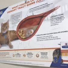 Our team is committed to educating our clients in how to keep your pets healthy year round, with good nutrition and exercise. Ark Pet Hospital Closed 47 Reviews Veterinarians 3550 San Pablo Dam Rd El Sobrante Ca Phone Number