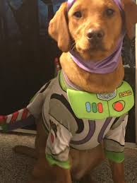 👻🎃 Get ready for a spooktacular night at **Haunted Halloween Trivia**!  Come dressed in your best costume for a chance to win awesome prizes  🏆✨—plus trivia, brews, laughs, and all for a