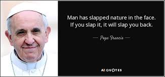 Every day we present the best quotes! Pope Francis Quote Man Has Slapped Nature In The Face If You Slap