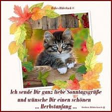 Plötzlich ist dann halt wieder schluss mit lustig. Schonen Sonntag Tiere Bilder Und Spruche Fur Whatsapp Und Facebook Kostenlos