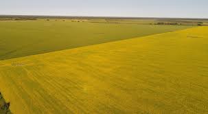 Available for rent asap.main intersection is airport/king st. The Biggest Piece Of Land For Sale In Canada Right Now Macleans Ca