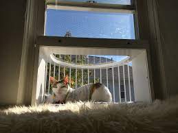 We did not find results for: Cat Window Box Cat Solarium The Cat Window Box Catio Cat Balcony