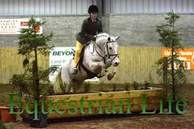 Driving society members enjoy day out at Cultra