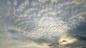 Please send an email to email protected for enquiries about adding or removing wallpaper Hd Wallpaper Clouds Sunset Beach Nature Weather Blue Cloud Sky Backgrounds Wallpaper Flare