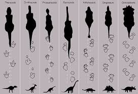 E45b52d37f075e1e805535bde3d57ba2 Jpg 720 492 Pixels 恐竜 モンテッソーリ教育 文化