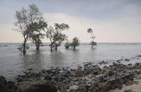 Un cadáver en la laguna. Pantai Laguna Surga Bahari Tersembunyi Di Kawasan Anyer Penginapan Net 2020