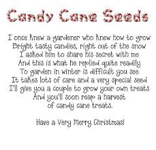 See more ideas about candy cane poem, christmas poems, christmas holidays. Candy Cane Seeds Poem Need To Change A Couple If Words Since Using Sugar Instead Of Snow Diy Christmas Table Christmas Treats Christmas Candy Cane