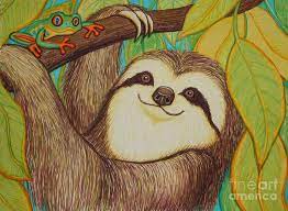 Sloth And Frog By Nick Gustafson Sloth Art Frog Art Drawings