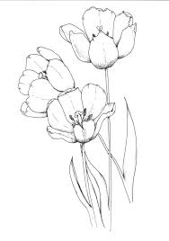 Custom Commissions Botanicals In 2020 Flower Line Drawings Line Art Drawings Art Drawings