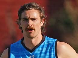 Andrews a key to Daniher's Lions progress