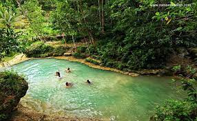 Grojogan Lepo Dlingo Foto Lokasi Rute Harga Tiket Fasilitas
