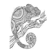 Hier zijn een aantal mooie plaatjes van dieren o a. Kleurplaten Moeilijk Dieren