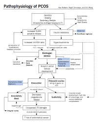 Pathophysiology Of Pcos Pathophysiology Nursing Pcos Obstetrics Nursing