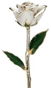 Whatever its exact origin, dipped often means left (a place), as in the 2013 song lone by tyler, the creator where he raps: Ultimate White Rose Meaning And Symbolism Guide Goldflorist