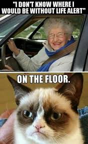 Slapcaption Com Funny Grumpy Cat Memes Grumpy Cat Quotes Grumpy Cat Humor