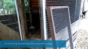 Sory klaw terlebih or tergedik or terover. Reban Ayam Dari Bahan Buangan Youtube