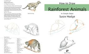 The bird has a black feather with white plumes, but the head and beak have yellow, red, and blue shades. Amazon Com How To Draw Rainforest Animals In Simple Steps 9781782218876 Hodge Susie Books