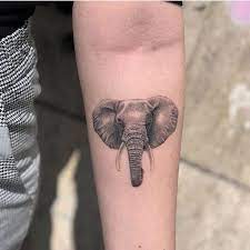 Amazon Com Tier Shirt Frauen Elephant Tattoos Elephant Head Tattoo Body Art Tattoos