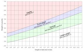 chakat bmi chart inches and pounds by goldstrike fur