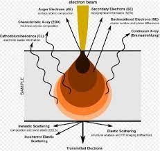 Schematic setup of an ebsd detector in the sem. Sem Signal Electron Imaging Accelerating Microscopy