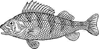 Free Free 282 Bass Svg Free SVG PNG EPS DXF File