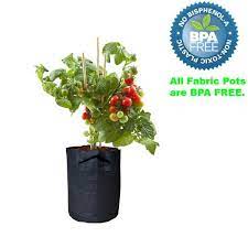 Our fabric is a nonwoven geotextile polypropylene made especially for us from a manufacturer in the usa. Viagrow 2 Gal Fabric Aeration Grow Bags With Handles 5 Pack V2gapot 5 The Home Depot