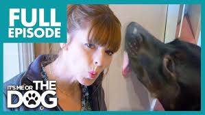 Champion Dog Breed in Amritsar Dog Show 😱 Rottweiler, French Mastiff,  German Shepherd 🏆