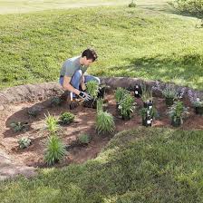 Learn How To Plant A Rain Garden Gardening Mother Earth Living Rain Garden Design Plants Garden Projects