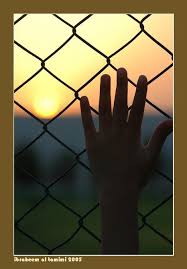 شبكة فلسطين للحوار