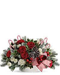 Check spelling or type a new query. Christmas Flowers Christmas Flower Arrangements Teleflora