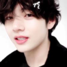 Finding beauty in everything