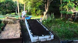 When making a selection below to narrow your results down, each selection made will reload the page to display the. How To Build A Raised Vegetable Garden With Concrete Blocks Youtube