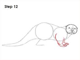 How To Draw An Otter Video Step By Step Pictures The images above represents how your finished drawing is going to look and the steps involved. how to draw an otter video step by