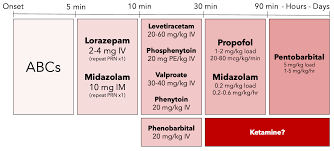 Image result for Status Epilepticus