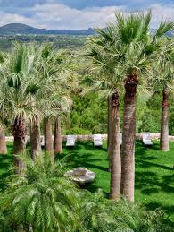 See More Of Jacques Garcia S Sicilian Compound In 2020 Country House Greek Villas Sicilian