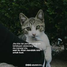 Halo, selamat pagi buat pembaca yang lagi liburan seminggu gara gara kelas 12 ada ujian sekolah. Ujian Bisa Datang Dimana Saja Kapan Saja Melalui Siapa Saja Berbahagialah Itu Artinya Allah Ingin Kita Naik Kelas Agar Menjadi Hidup Binatang Lucu