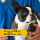 Doggy CPR! @ Boris and Horton – November 25, 2025 event image