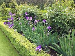 Formality And Precision At Gravetye Garden Iris Garden Ornamental Grass Landscape Flower Bed Plants