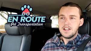 Atw offers world class travel on the ground and through the air for your pet transport needs. How Much Does Pet Ground Transportation Cost Youtube
