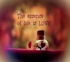 Quotes About Essence Of Life 159 Quotes