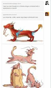 Chinese Weiner Dragon Funny Cute Funny Animals Funny