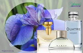 Our staff has managed to solve all the game packs and we are. Iris Note Perfumery Blog Venera Cosmetics
