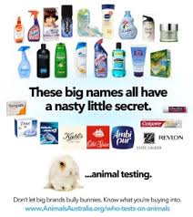 A lot of companies state that they are cruelty free unless required by law to test on animals. Cosmetic Testing We Name Shame The Vegan Box