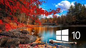 Autumn In The Forest Wallpaper Wallpaper Wide Hd Nature Desktop Autumn Scenery Hd Nature Wallpapers