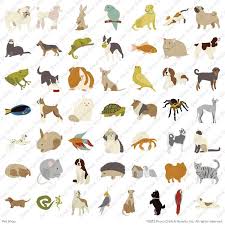 All about pets provo ut. Cricut Lite Pet Shop Cartridge Cricut Shop Pet Shop Cricut Cricut Cartridges