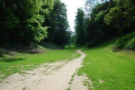 Ter kamerenbos / bois de la cambre (ter kamerenbos). Things To Do In Brussels On A City Break