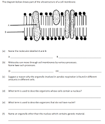 Check spelling or type a new query. Https Homeschool Ie Wp Content Uploads 2020 08 Biology Week 4 Cell Structure Pdf